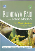 Budidaya Padi pada Lahan Marjinal: Kiat meningkatkan produksi padi
