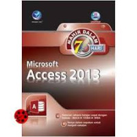 Image of Microsoft Access 2013