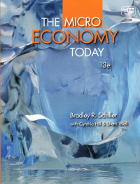 Image of The Micro Economy Today