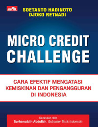 Image of Micro Credit Challenge